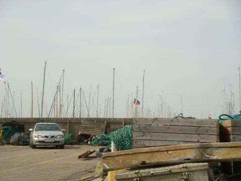 dsc00428.jpg