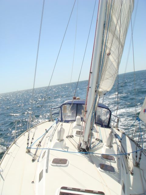 dsc00516.jpg
