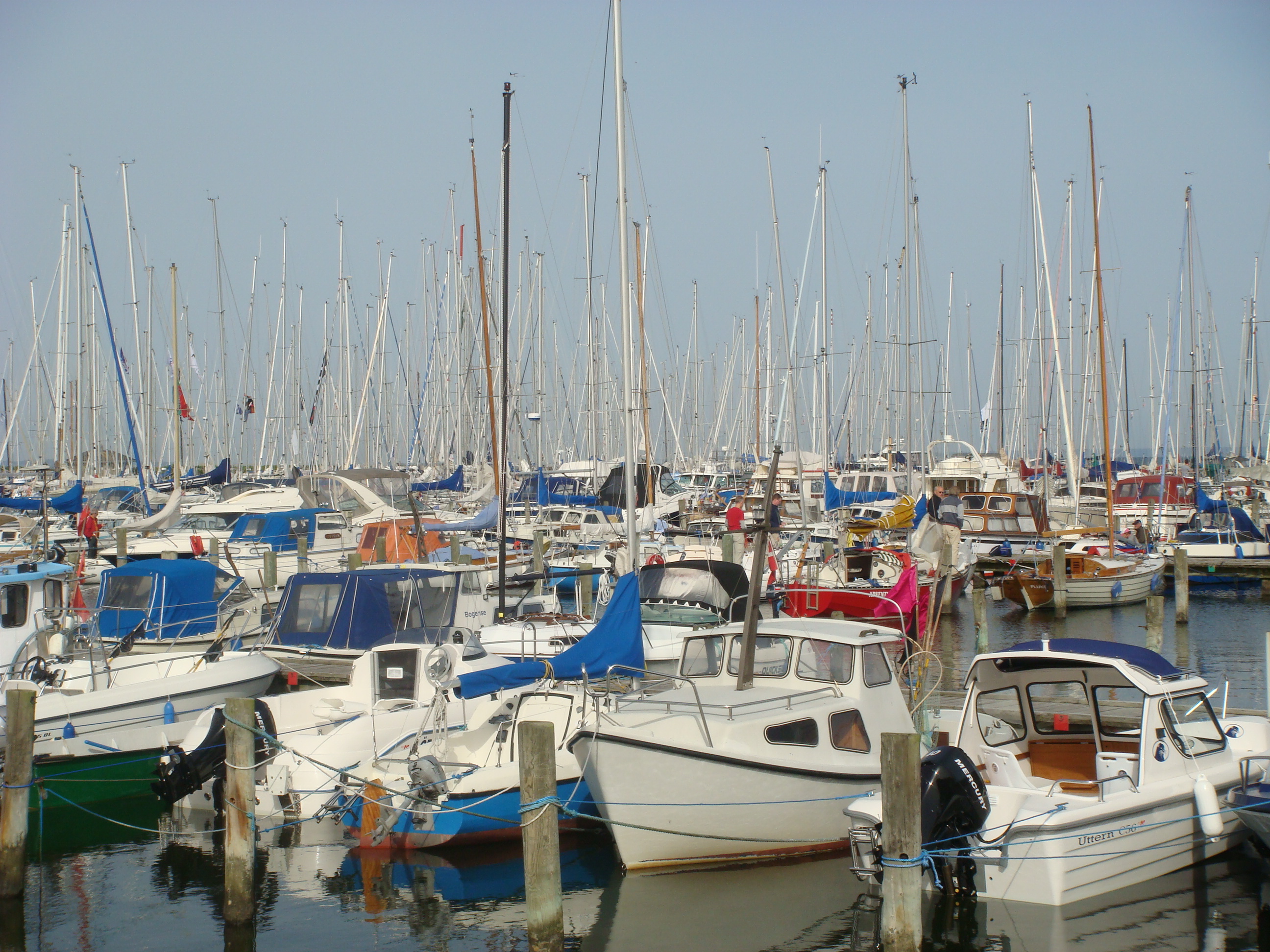 dsc00420.jpg
