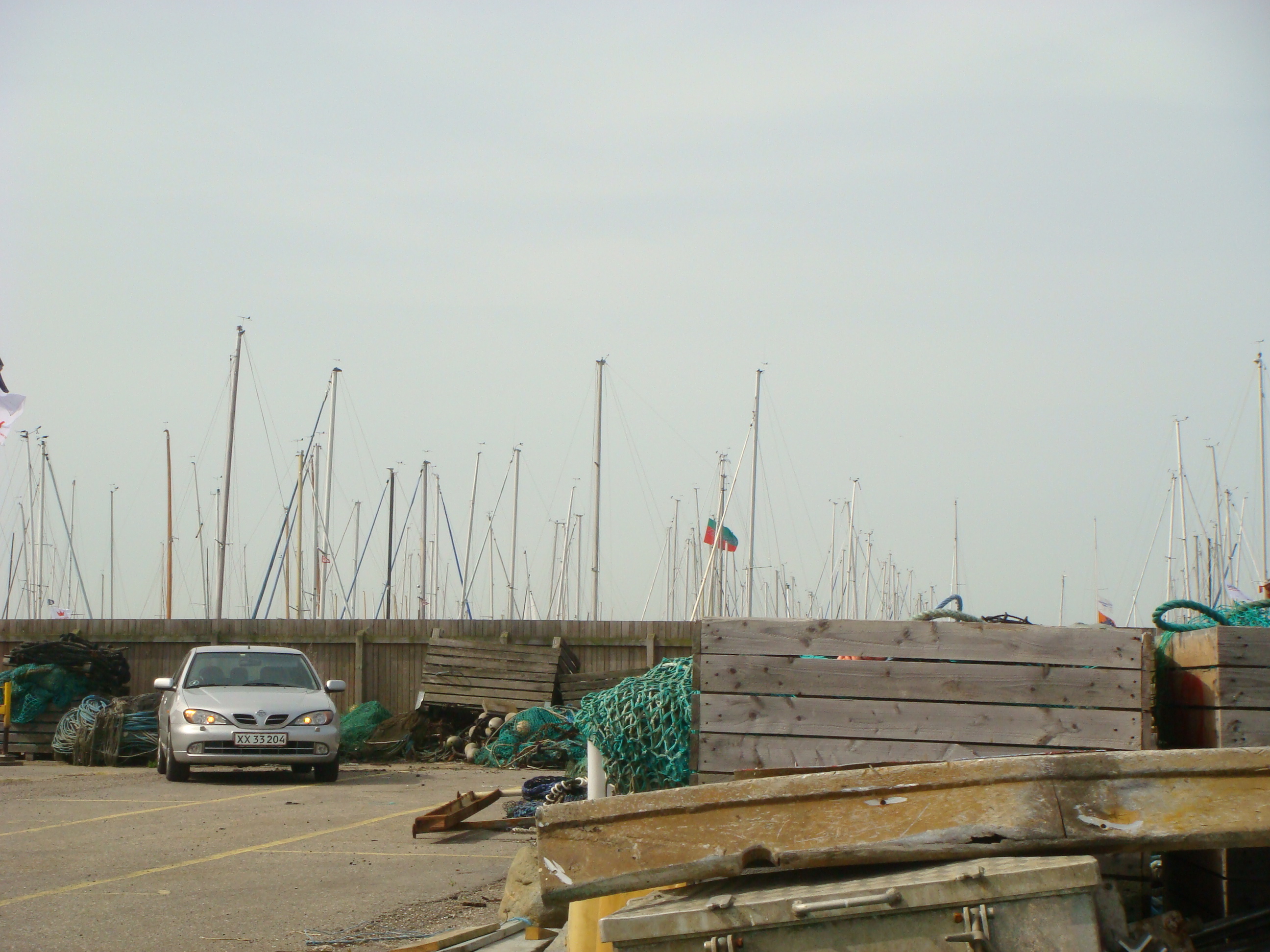 dsc00428.jpg